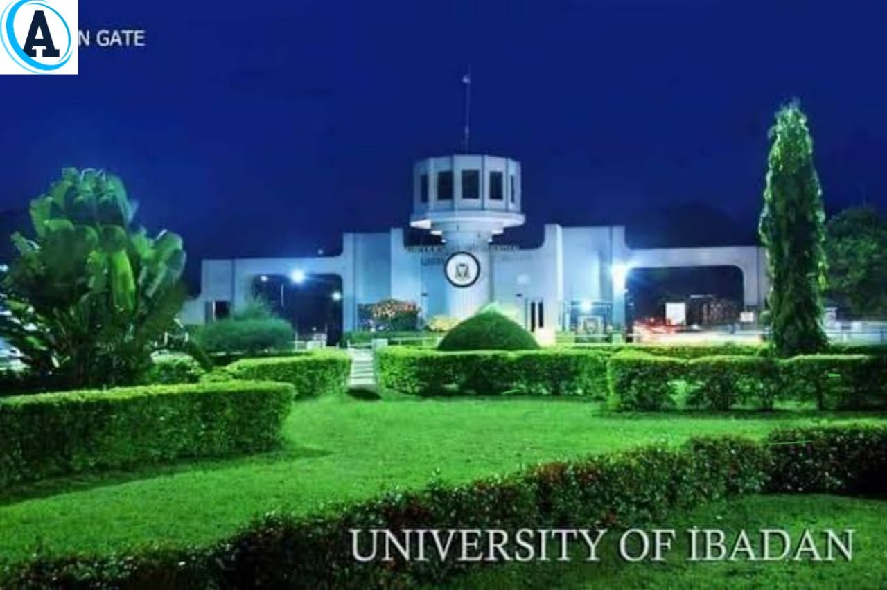 University Of Ibadan School Fees