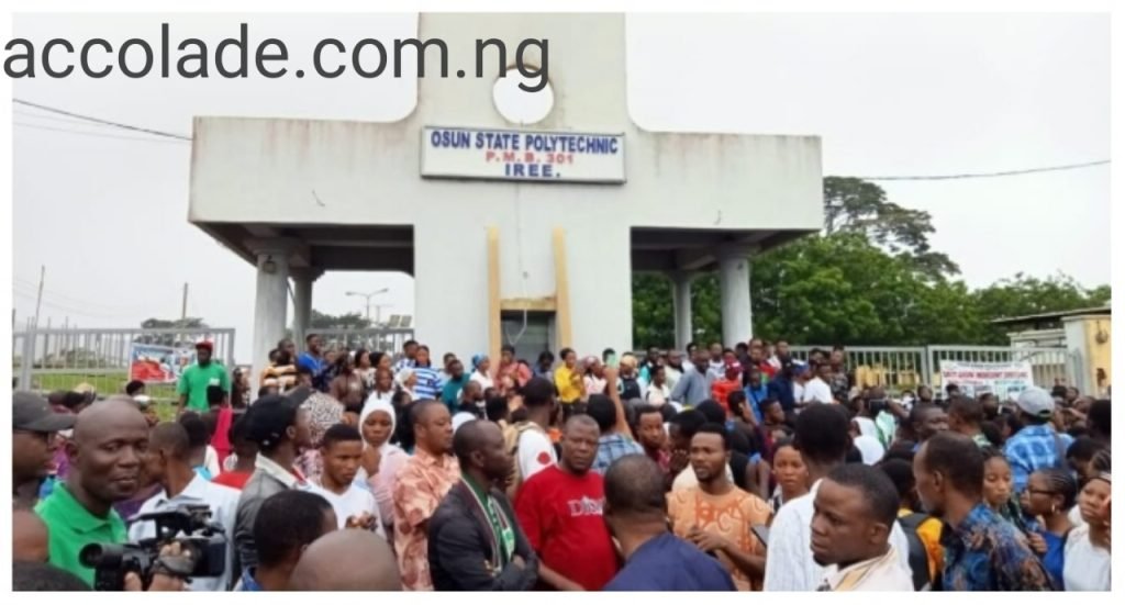 Iree Poly Post UTME Form Now Out: 4 Admission Requirements and How To Apply