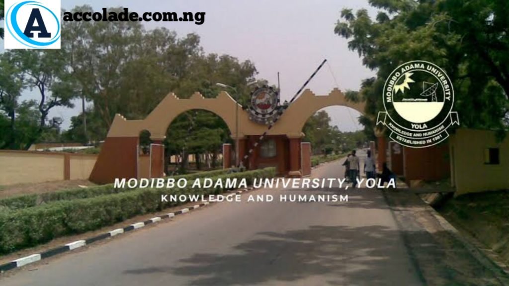 Federal UNIVERSITY Of Yola Post Utme Form 2025 Now Out- School Fees And Requirements