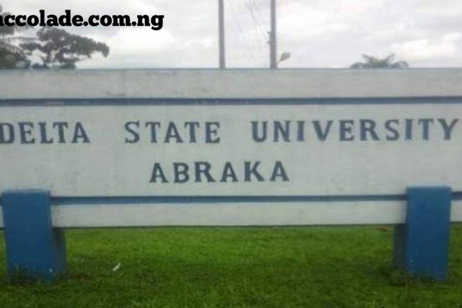 Delta State University Courses And School Fees