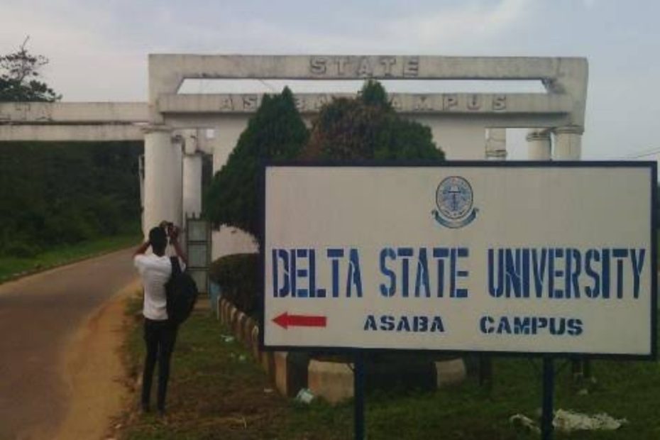 Delta State University Courses And Fees