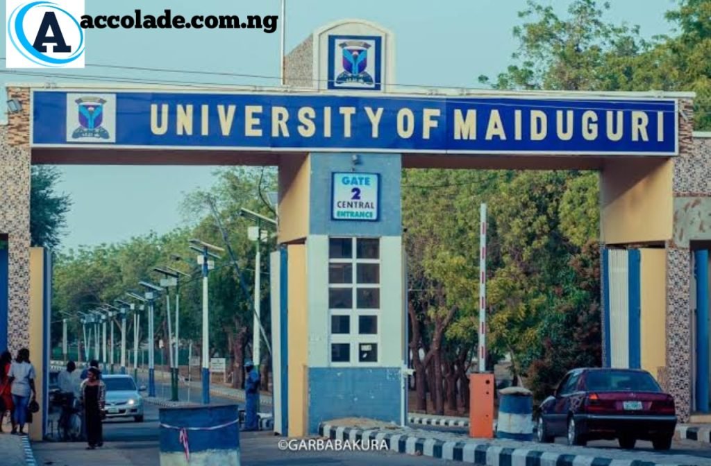 University Of Maiduguri Post UTME Form Now Out, Courses And Cut Off Mark, School Fees For Each Department 2025/2026