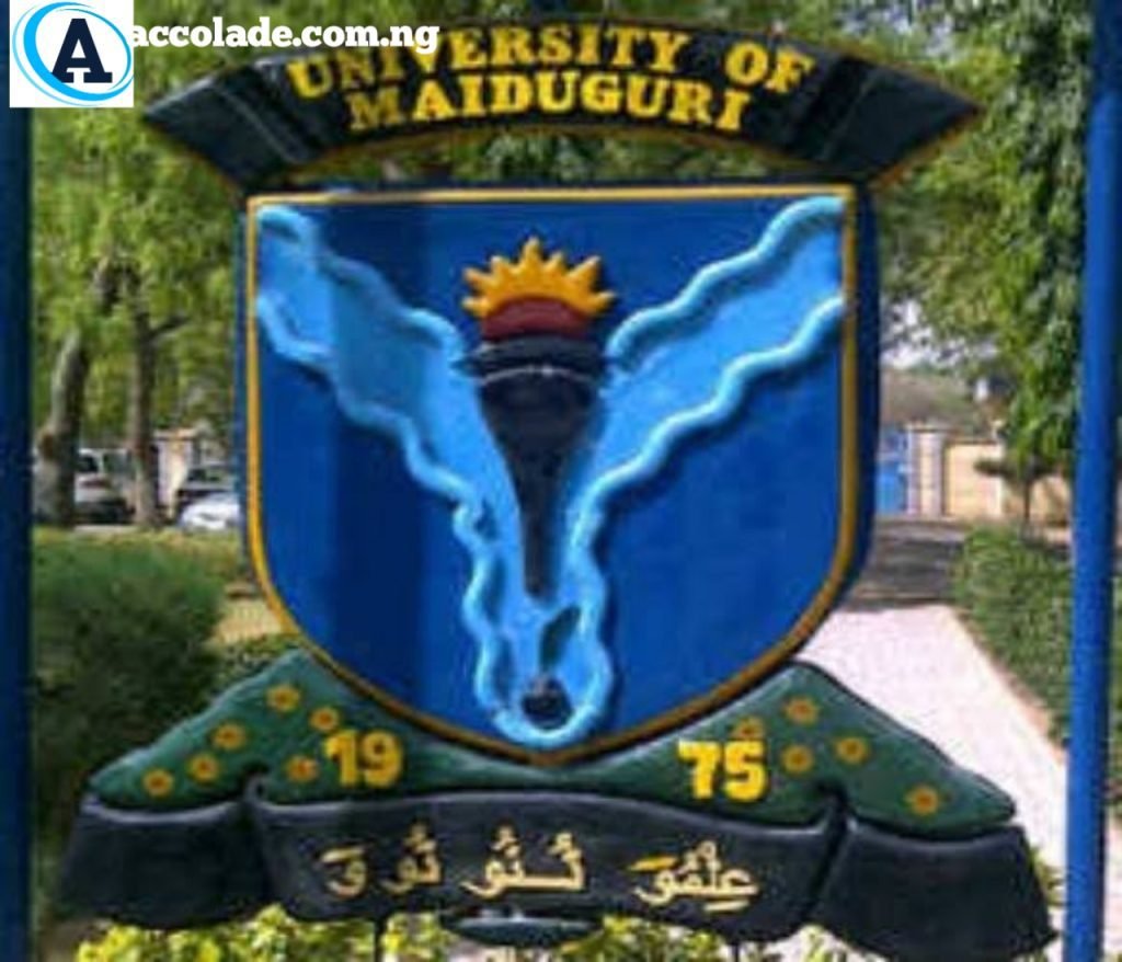 University Of Maiduguri Admission Requirements