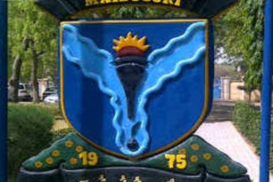 University Of Maiduguri Admission Requirements