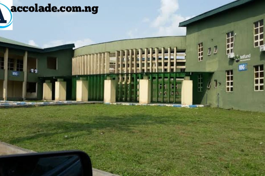 Uniport Cut Off Mark for Nursing 2025