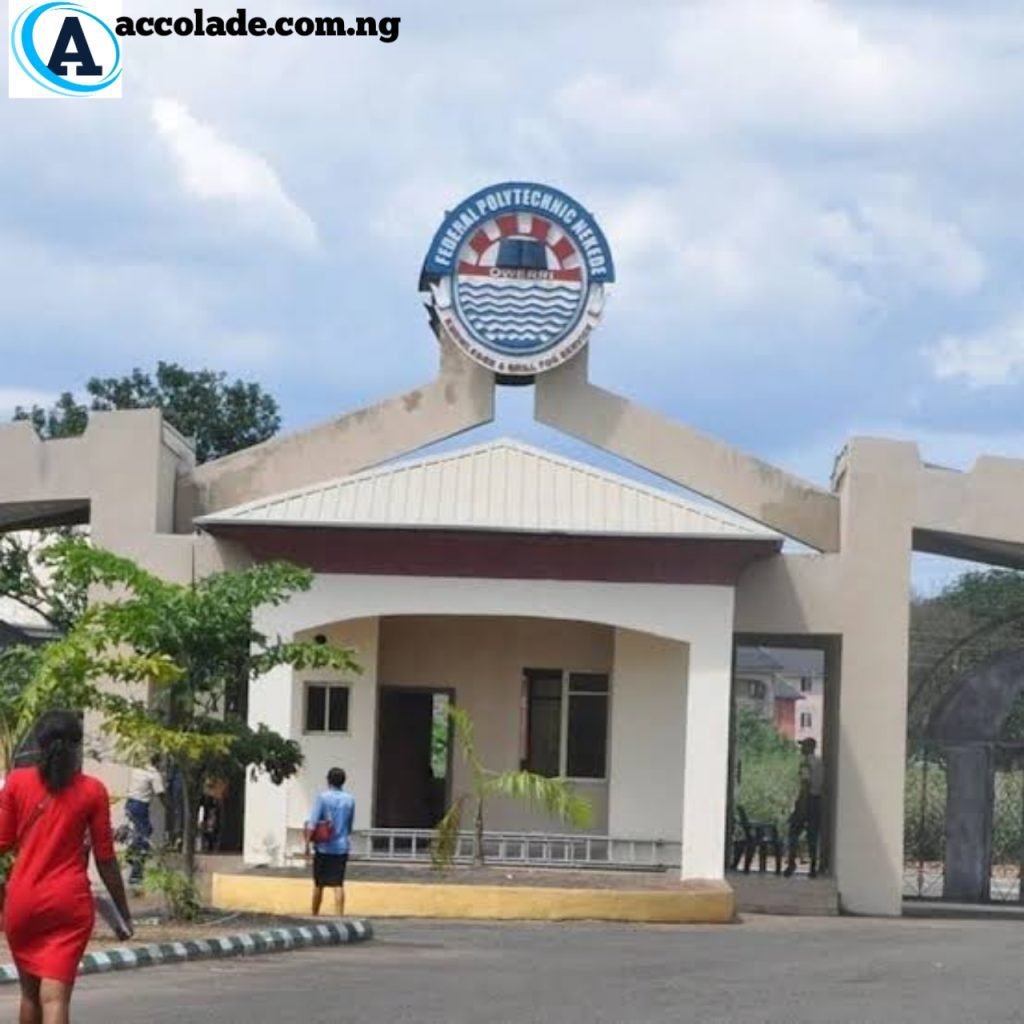 Nekede Portal Login for Students