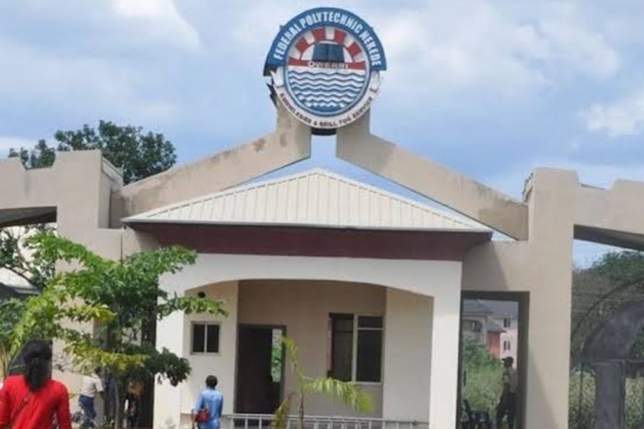 Nekede Portal Login for Students